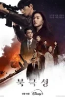 Полярная звезда / Буря